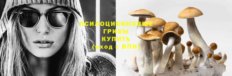 Псилоцибиновые грибы Psilocybe  наркошоп  omg вход  Тюмень 